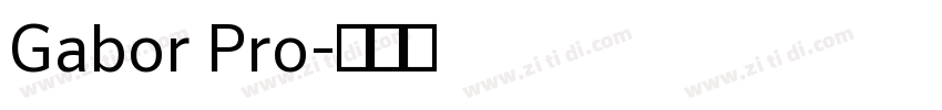 Gabor Pro字体转换